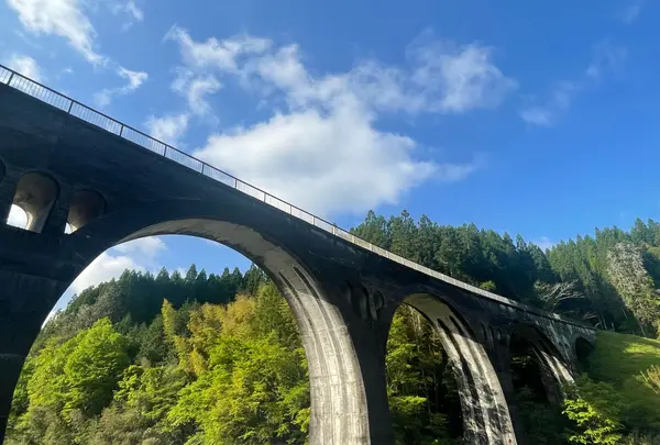 国鉄宮原線 幸野川橋梁 (国登録有形文化財)の写真・動画_image_1820195