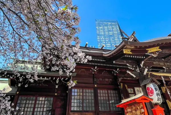 熊野神社（十二社熊野神社）