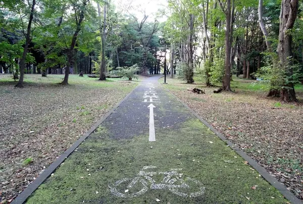 代々木公園サイクリングコースの写真・動画_image_182693