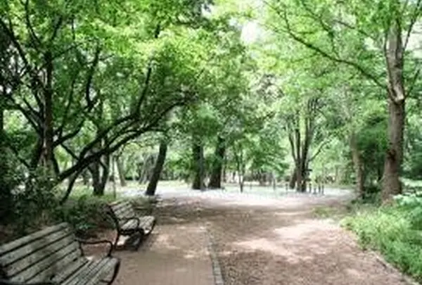 都立林試の森公園