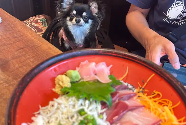 磯料理 天海