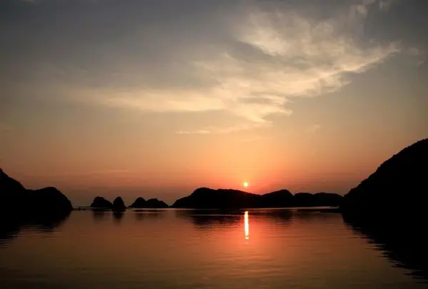 綱島の夕日の写真・動画_image_188195
