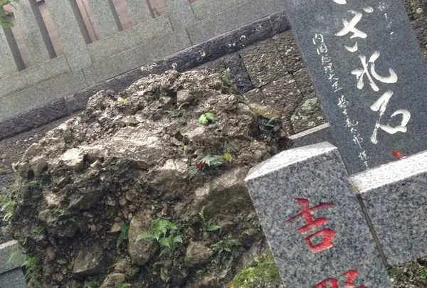 玉前神社の写真・動画_image_195090