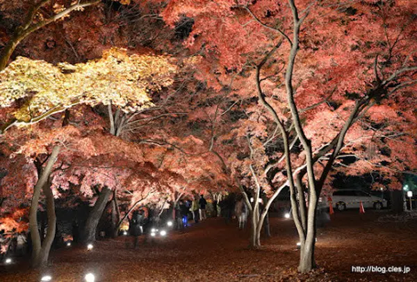 月の石もみじ公園