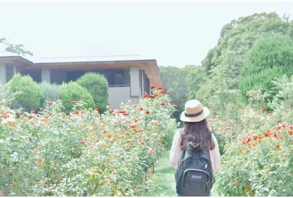 京都府立植物園の写真・動画_image_199177