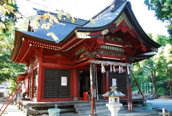 子易明神比比多神社の写真・動画_image_201561