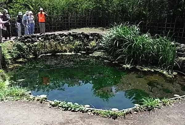 銚子池