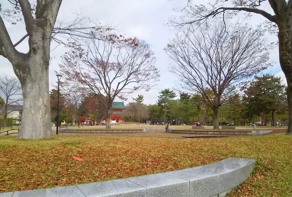 岡崎公園の写真・動画_image_205303