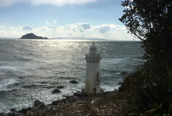 伊良湖岬自然散策路の写真・動画_image_217156