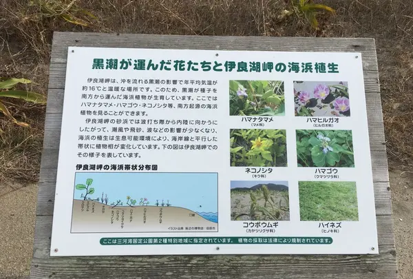 伊良湖岬自然散策路の写真・動画_image_217180