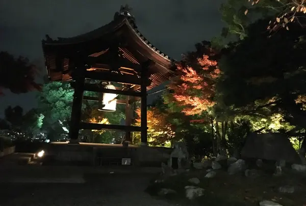 高台寺の写真・動画_image_217322