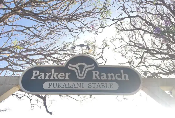 Parker Ranchの写真・動画_image_221349