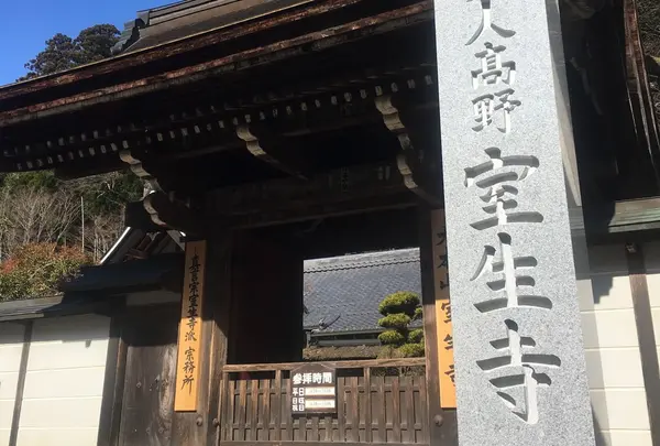 室生寺の写真・動画_image_221942