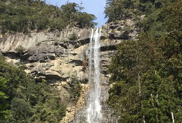 那智の滝の写真・動画_image_223142