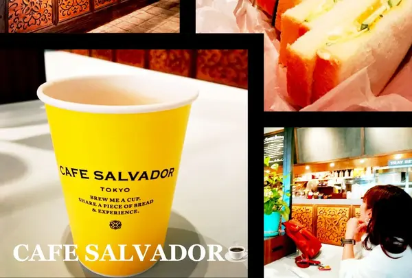 CAFE SALVADORの写真・動画_image_223156