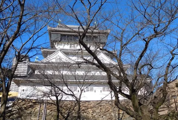小倉城の写真・動画_image_223715