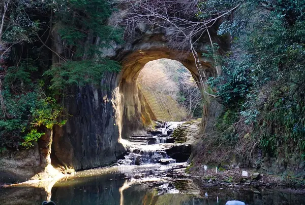 濃溝の滝の写真・動画_image_224642