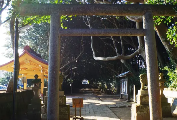 酒列磯前神社の写真・動画_image_227629