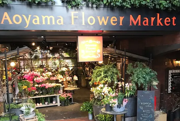 青山フラワーマーケット ティーハウス 南青山本店 （Aoyama Flower Market TEA HOUSE）の写真・動画_image_228730