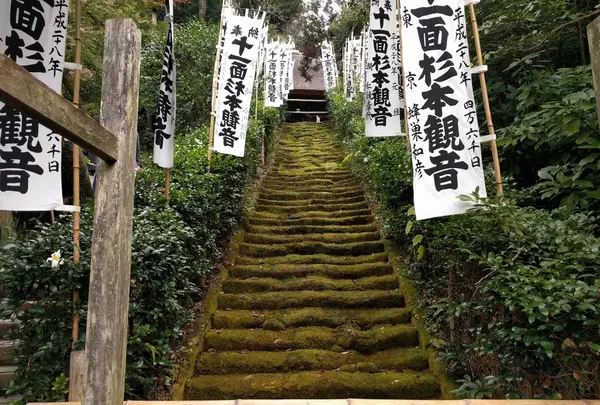 杉本寺の写真・動画_image_229011