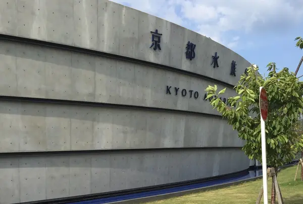 京都水族館の写真・動画_image_232841