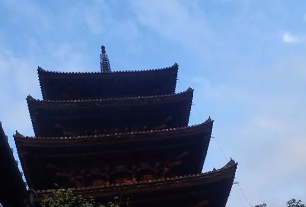 法観寺 八坂の塔の写真・動画_image_236255