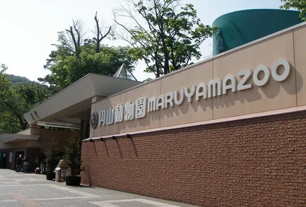 円山動物園の写真・動画_image_247389