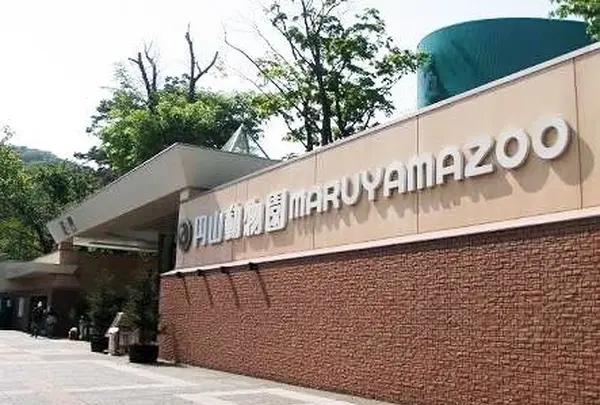 円山動物園の写真・動画_image_247416