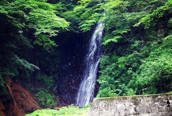 香澄の滝の写真・動画_image_251399