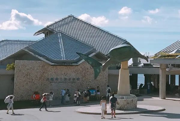 沖縄美ら海水族館の写真・動画_image_251906