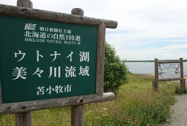 ウトナイ湖の写真・動画_image_255019