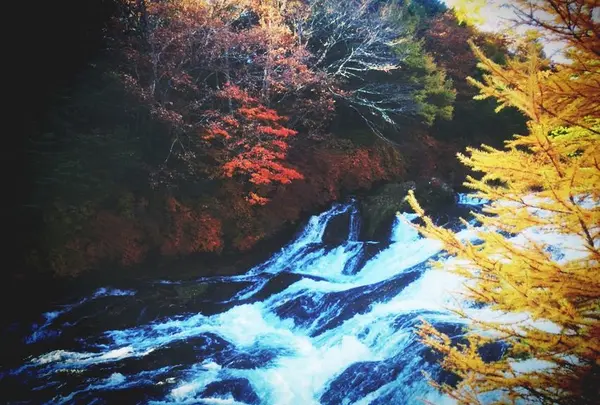 竜頭ノ滝の写真・動画_image_259411