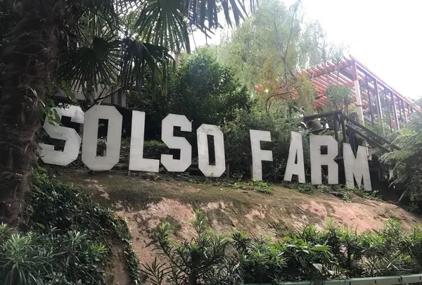 Solso Farmの写真・動画_image_270832