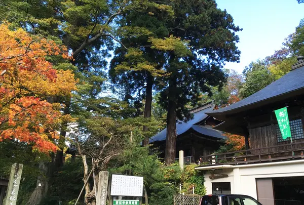 若松寺の写真・動画_image_275834