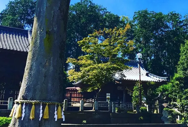 瀧宮神社の写真・動画_image_277724