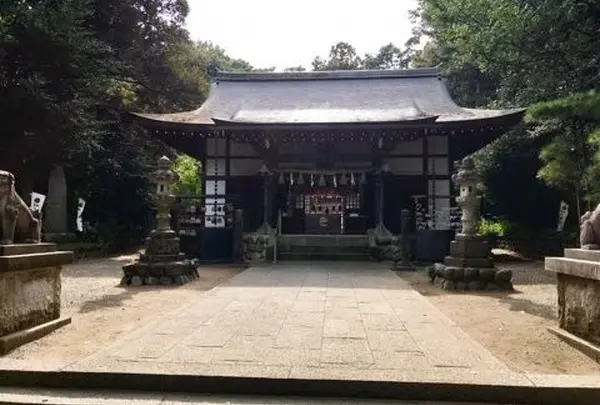 三ケ尻八幡神社の写真・動画_image_277727