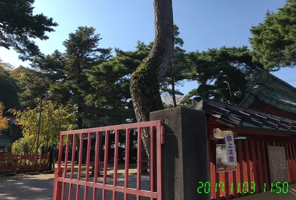 尾崎神社の写真・動画_image_277799