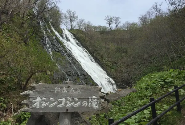 オシンコシンの滝の写真・動画_image_280196