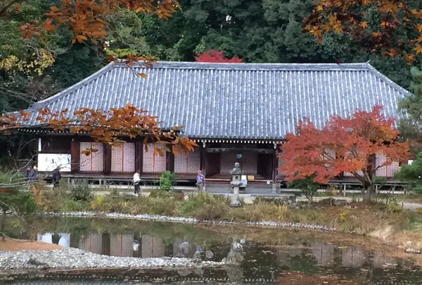 浄瑠璃寺の写真・動画_image_283242