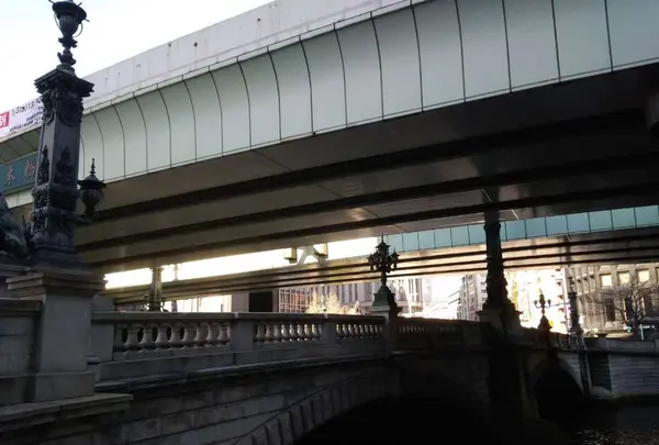 日本橋の写真・動画_image_291970