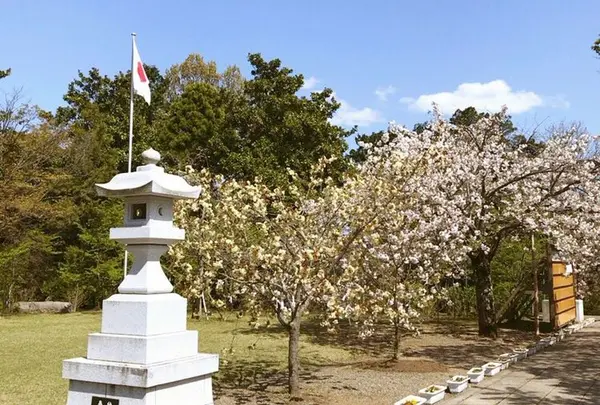 茨城県護国神社の写真・動画_image_311436