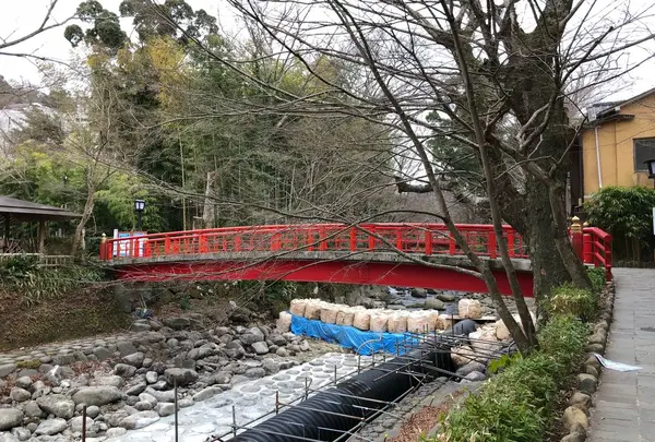 恋の橋の写真・動画_image_313702