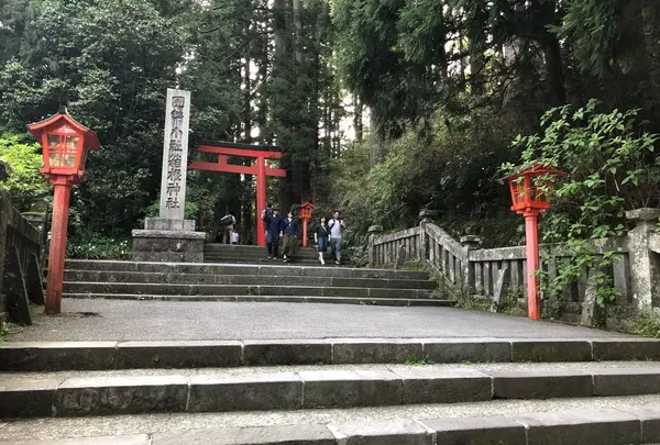 箱根神社の写真・動画_image_315839