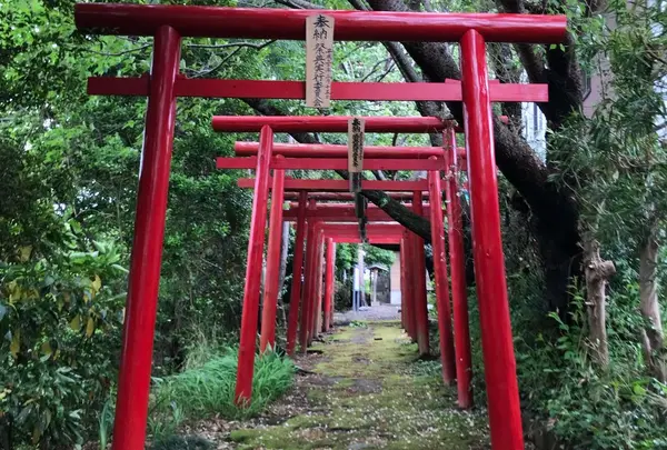 首塚稲荷神社の写真・動画_image_316549