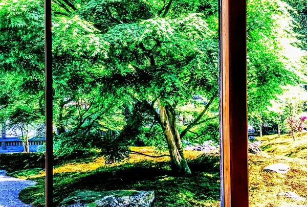 長寿寺の写真・動画_image_318872