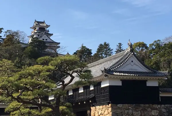 高知城の写真・動画_image_320697