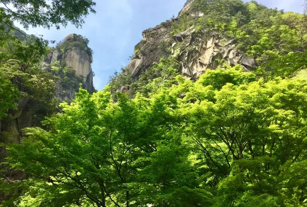 昇仙峡の写真・動画_image_321570