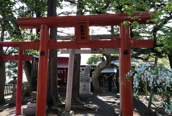 亀磨神社の写真・動画_image_321917