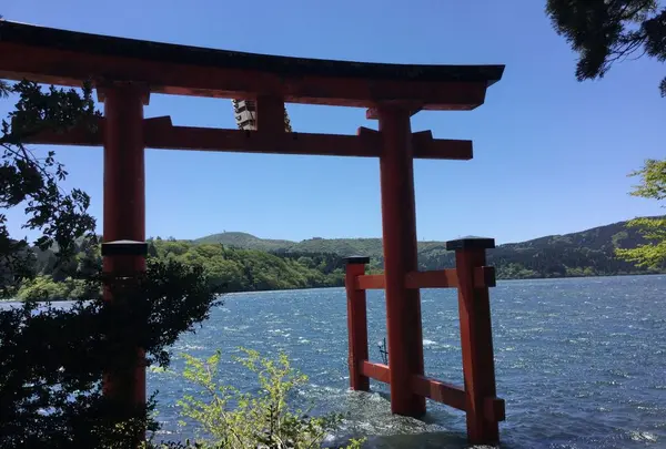 箱根神社の写真・動画_image_323346