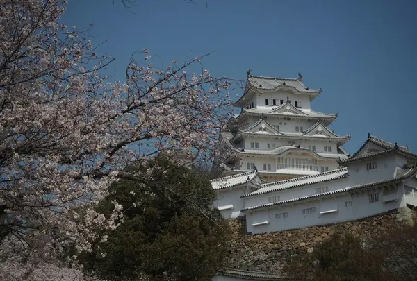 姫路城の写真・動画_image_325747